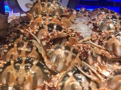 -加餐海鲜自助(宝龙一城店)