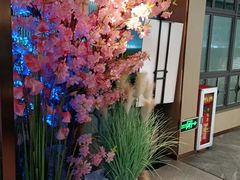 -野妹火锅(龙岗店)