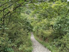 -桃花岭景区