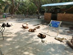 -广东茂名森林公园