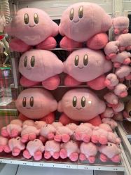 -莫莉幻想儿童乐园(武汉经开永旺店)