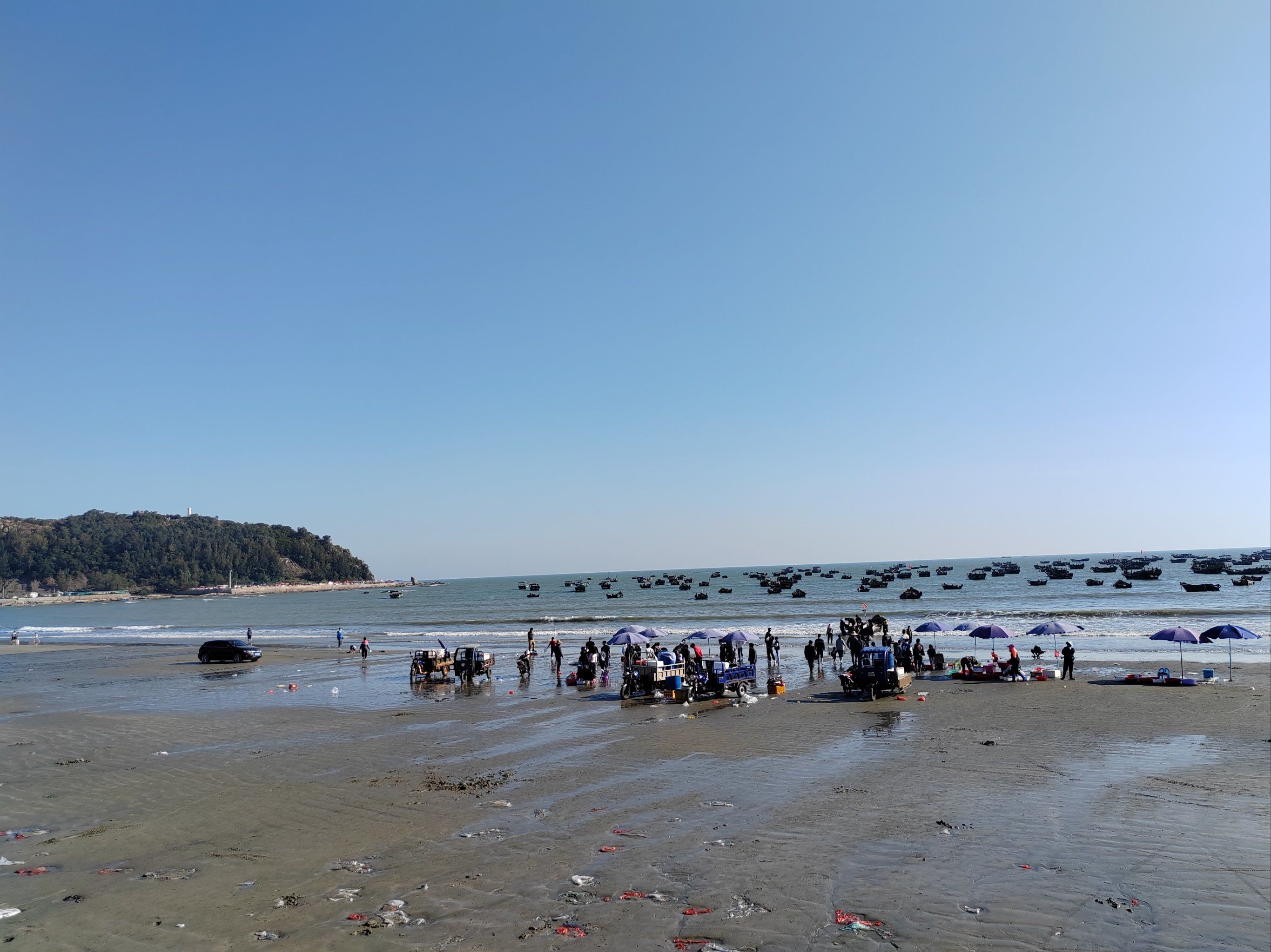 赶海的悠闲步伐