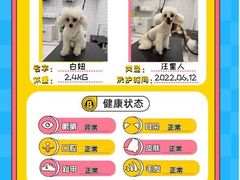 -BABIT巴比特宠物(MOMOPARK店)