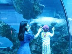 -乐从天佑城海洋馆