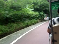 -金鸡山公园
