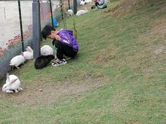 -洪湖家庭农场·团建·露营·会议
