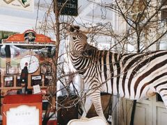 -栖露营camping·天幕烧烤·团建拓展·采摘营地