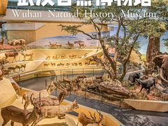 -武汉园博园(武汉自然博物馆)