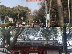 -秋霞圃