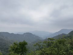 -大岭沟猕猴桃谷风景区