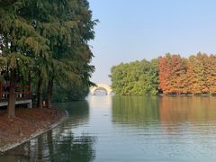 -上海海湾国家森林公园