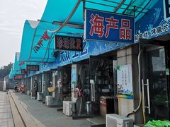 -日照灯塔风景区