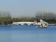 -大兴滨河森林公园