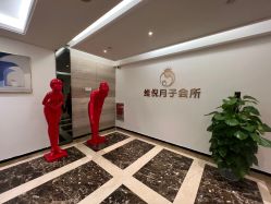 -维倪月子会所(独栋庭院·南海店)