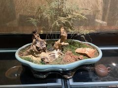 -京梟红茶楼(方恒购物中心店)