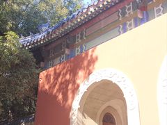-灵谷景区