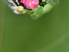 -华为智能生活馆(杭州大悦城)