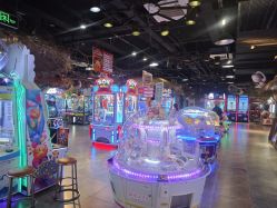 -卡通尼·Safari非洲探索乐园·生日会(金桥国际商业广场店)