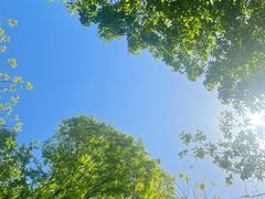 -终南山南五台景区