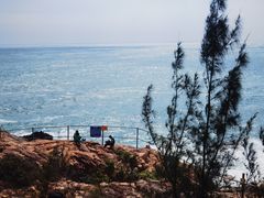 -广东惠东海龟国家级自然保护区