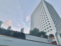 -尼依格罗香港美利酒店