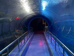 -太平洋海底世界