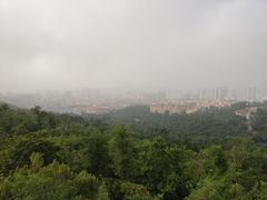 -青岛中山公园-索道售票处