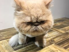 -小时光咖啡馆(开森度假森林店)