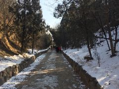 -函谷关历史文化旅游区