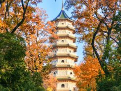 -灵谷景区