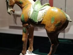 -宁夏博物馆
