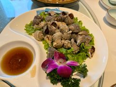 -海派美食·家宴海鲜青岛菜·石锅鲽鱼头(东方城店)