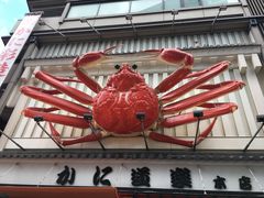 -蟹道乐(道顿堀本店)