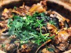 -金龙·打边炉(武进路店)