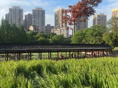 -龙头寺公园