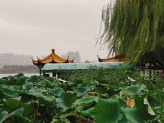 -济南大明湖景区
