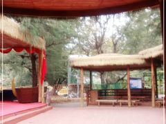 -北海金海湾红树林生态旅游区