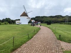 -济州森林小火车生态公园