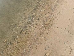 -天屿湖