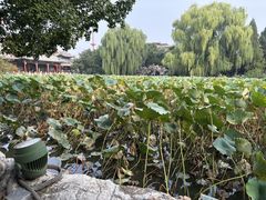 -莲池书院博物馆