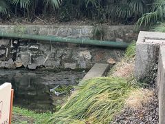 -南京珍珠泉风景区