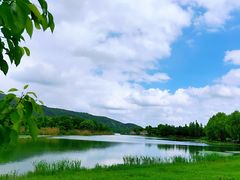 -长广溪湿地公园