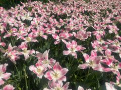 -金源温泉休闲会馆