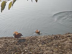-长兴太湖图影湿地文化园
