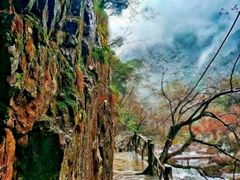 -白云源风景区