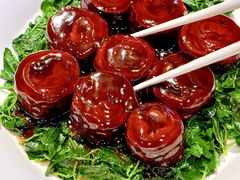 -圆苑(静安寺店)