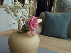 -苗品记茶馆(IFS国金中心店)