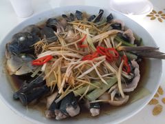 -煲来饱去冷水鱼