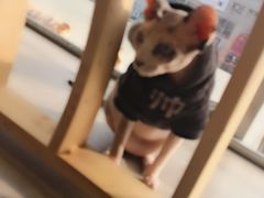 -藏猫猫咖啡主题馆(中央大道店)