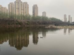 -前关湿地公园